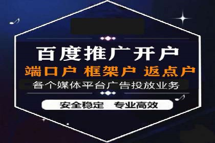 竞价推广的技巧与案例分享